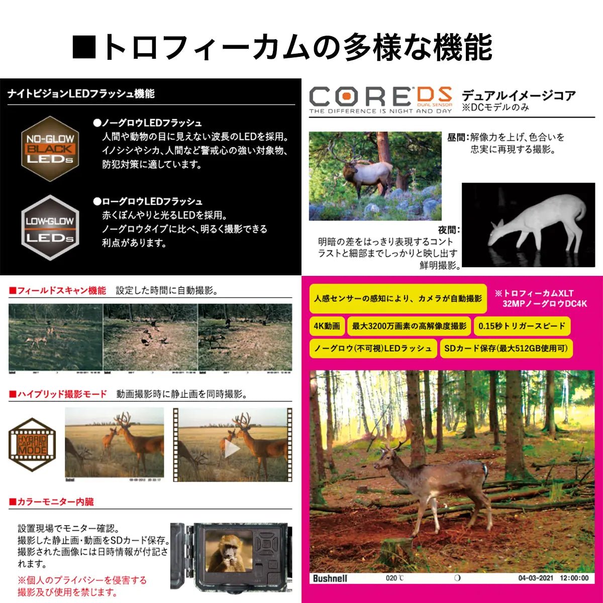 【熊・害獣の監視】屋外型センサーカメラ トロフィーカムXLT