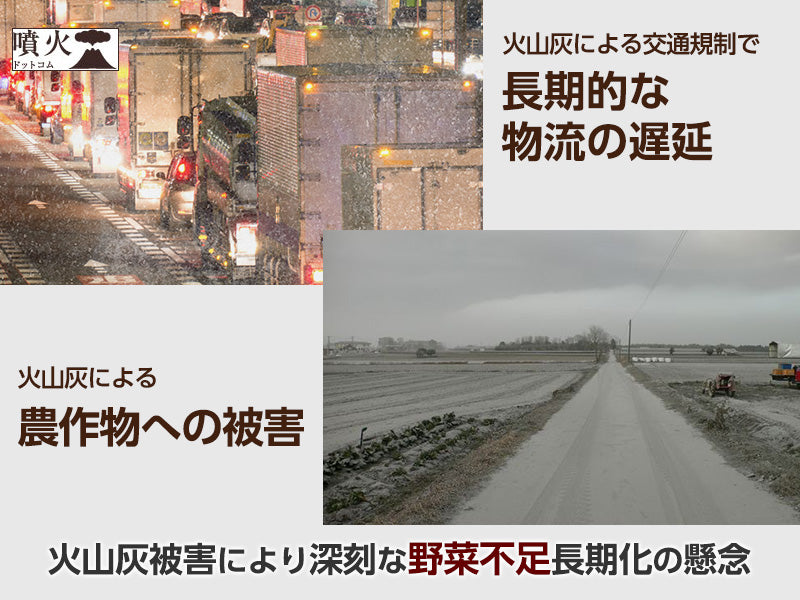 ライフスープ・ヴィーガン（5年保存）　50食